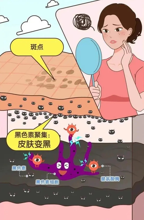 微信圖片_20240904102755.jpg